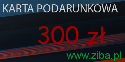 KARTY PODARUNKOWE, BONY ZAKUPOWE 300-500 PLN