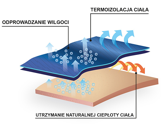 Technologia utrzymująca temperaturę ciała w bokserkach kompresyjnych marki Wisser